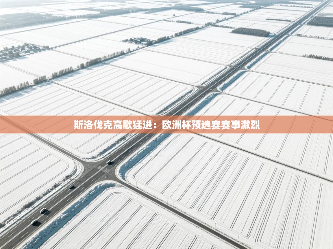 斯洛伐克高歌猛进：欧洲杯预选赛赛事激烈  第2张